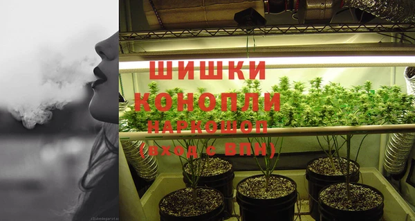 эйфоретик Баксан