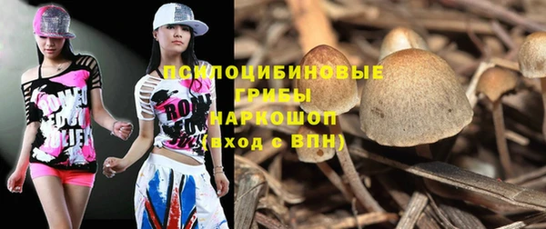 эйфоретик Баксан