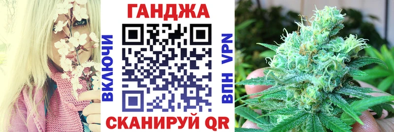 Канабис план  Западная Двина 